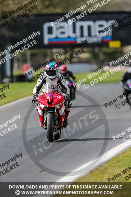 Oulton Park 21st March 2020;PJ Motorsport Photography 2020;anglesey;brands hatch;cadwell park;croft;donington park;enduro digital images;event digital images;eventdigitalimages;mallory;no limits;oulton park;peter wileman photography;racing digital images;silverstone;snetterton;trackday digital images;trackday photos;vmcc banbury run;welsh 2 day enduro